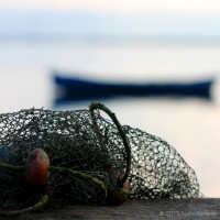 /album/mer/frida-dumont-img-8463-jpg/